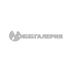 Meeting with Stefan Tsanev image