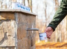 ОББ и Mastercard обновяват три чешми и микровлажна зона на Витоша в партньорство с Българска фондация Биоразнообразие