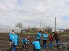 В „Синята гора“ на ОББ вече има и плодни дръвчета