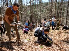 „Синята гора“ на ОББ расте вече и в Плана планина
