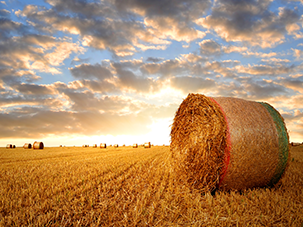 Agricultural loan for the purchase of agricultural land