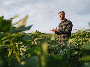 An overdraft against subsidies from SF Agriculture